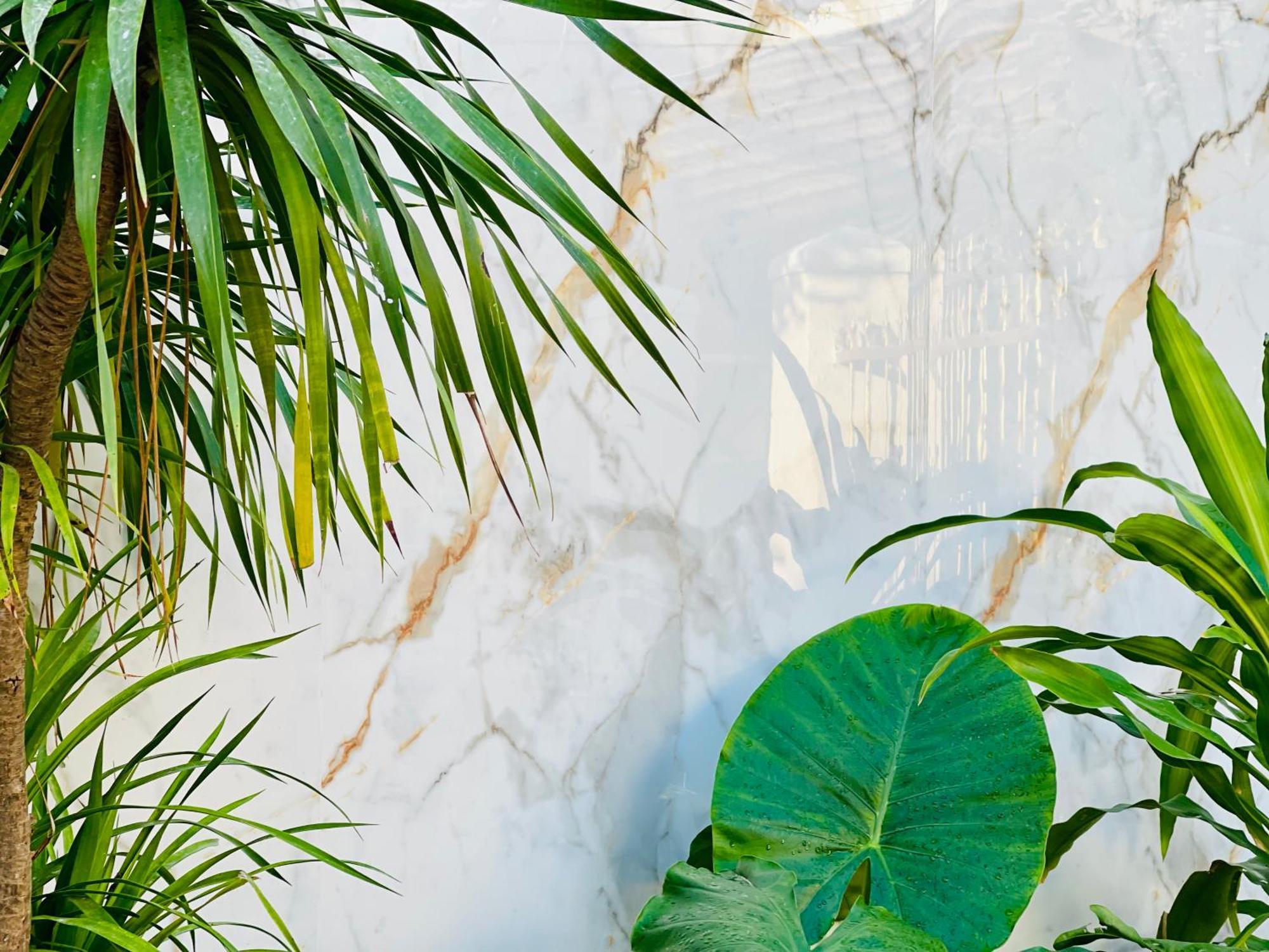Tina House Apartment Da Nang Exterior foto